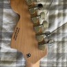 Fender Squire Stratocaster 20th Anniversary Guitar
